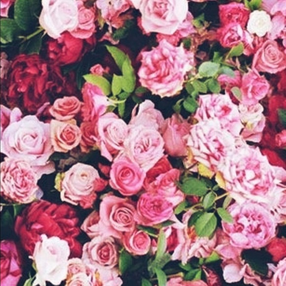 Meet your Posher, Lashanda - Picture 2 of 2